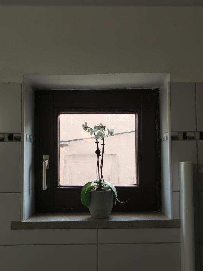 קופר Istrian Old Town Apartment מראה חיצוני תמונה